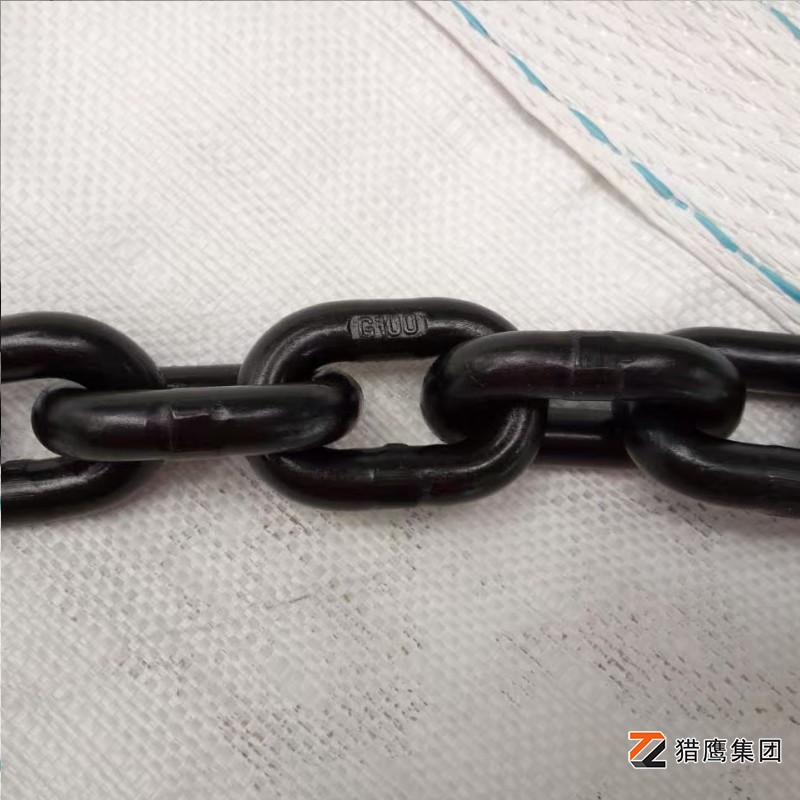 河北起重鏈條廠家有哪些？精選優(yōu)質(zhì)供應(yīng)商推薦